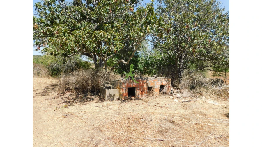 Terreno para Venda em Mexilhoeira Grande Foto 14