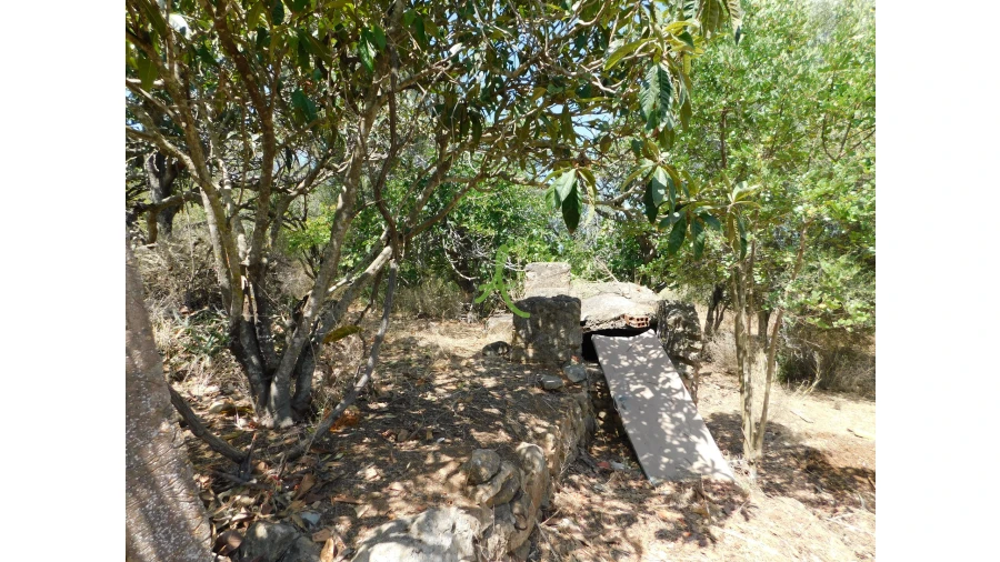 Terreno para Venda em Mexilhoeira Grande Foto 16