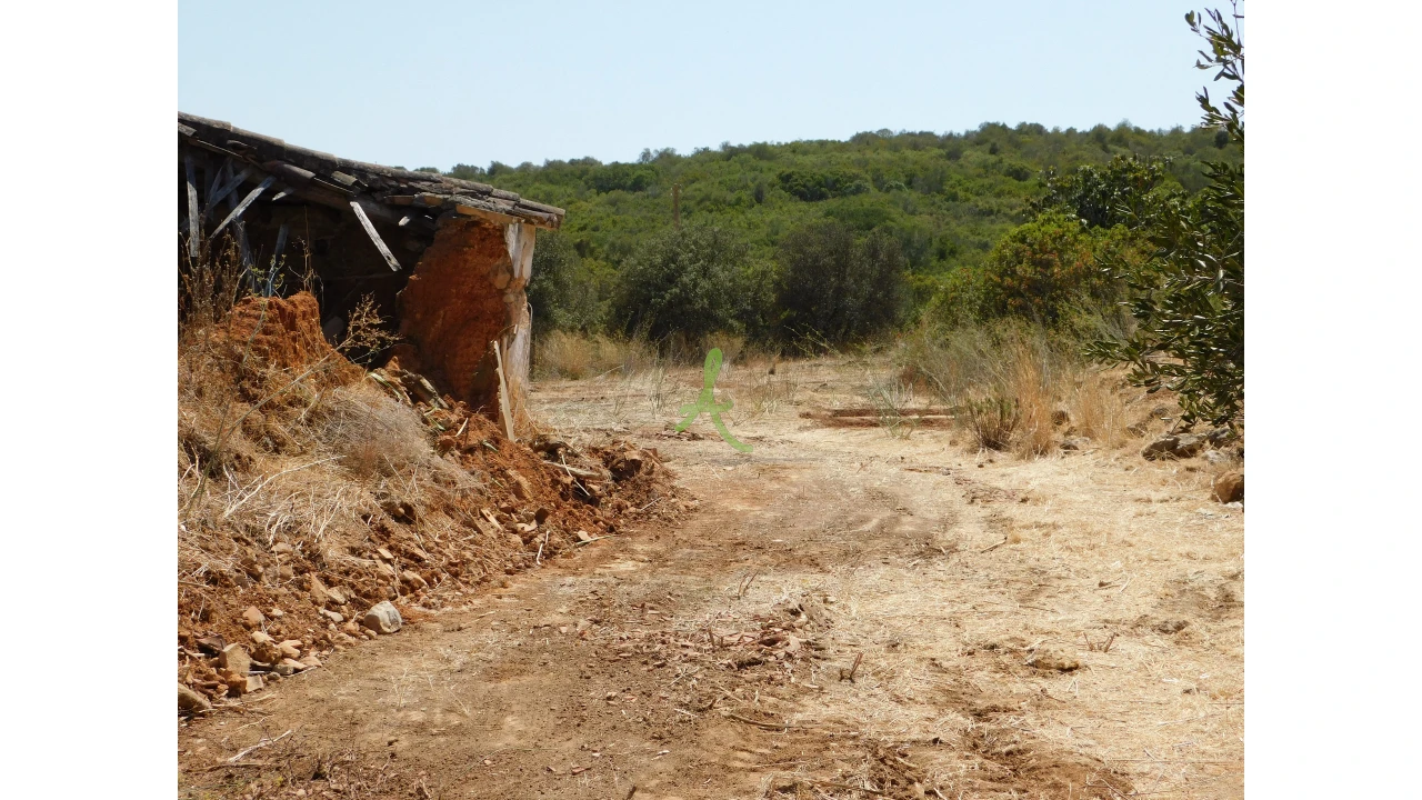 Terreno para Venda em Mexilhoeira Grande Foto 30