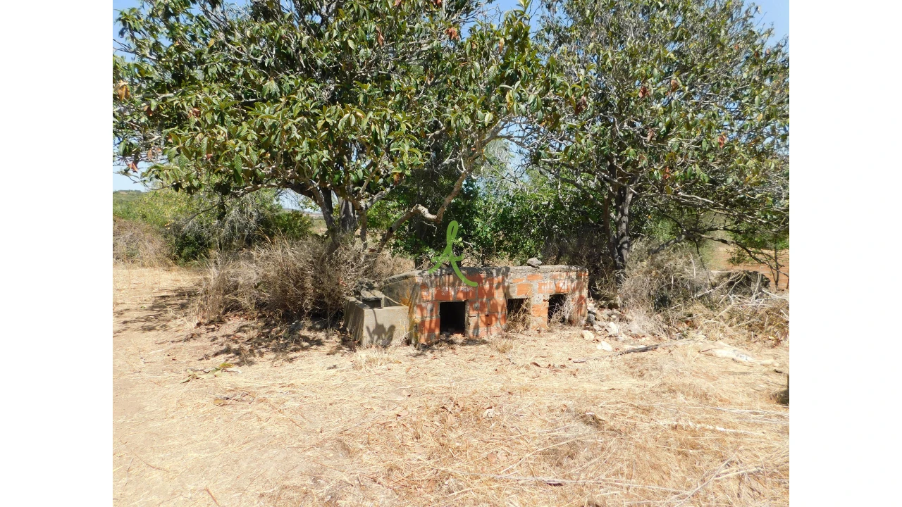 Terreno para Venda em Mexilhoeira Grande Foto 14