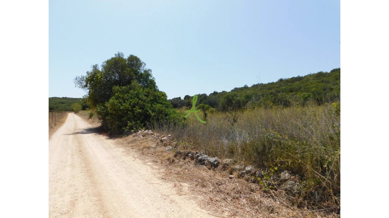 Terreno para Venda em Mexilhoeira Grande Foto 25