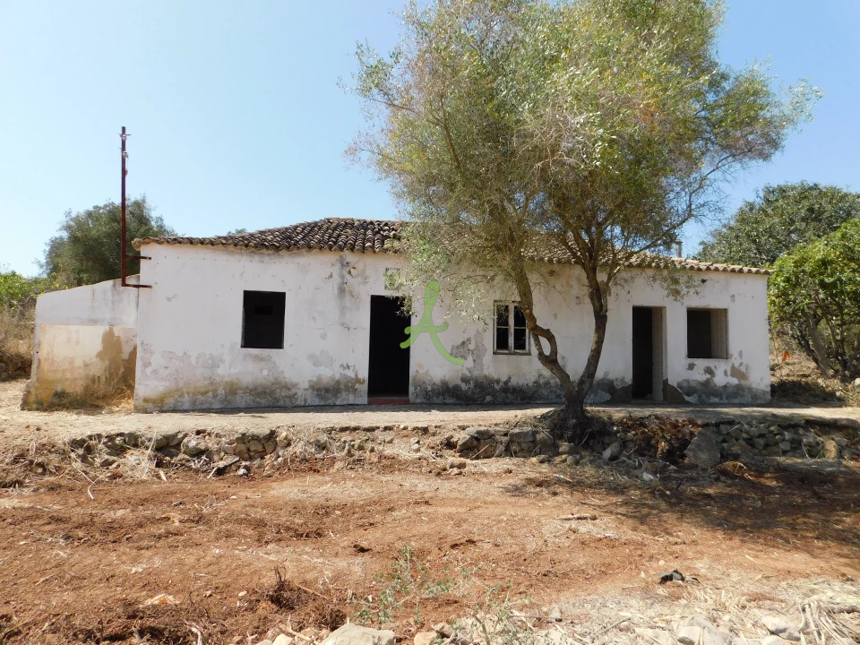 Terreno para Venda em Mexilhoeira Grande Foto 34