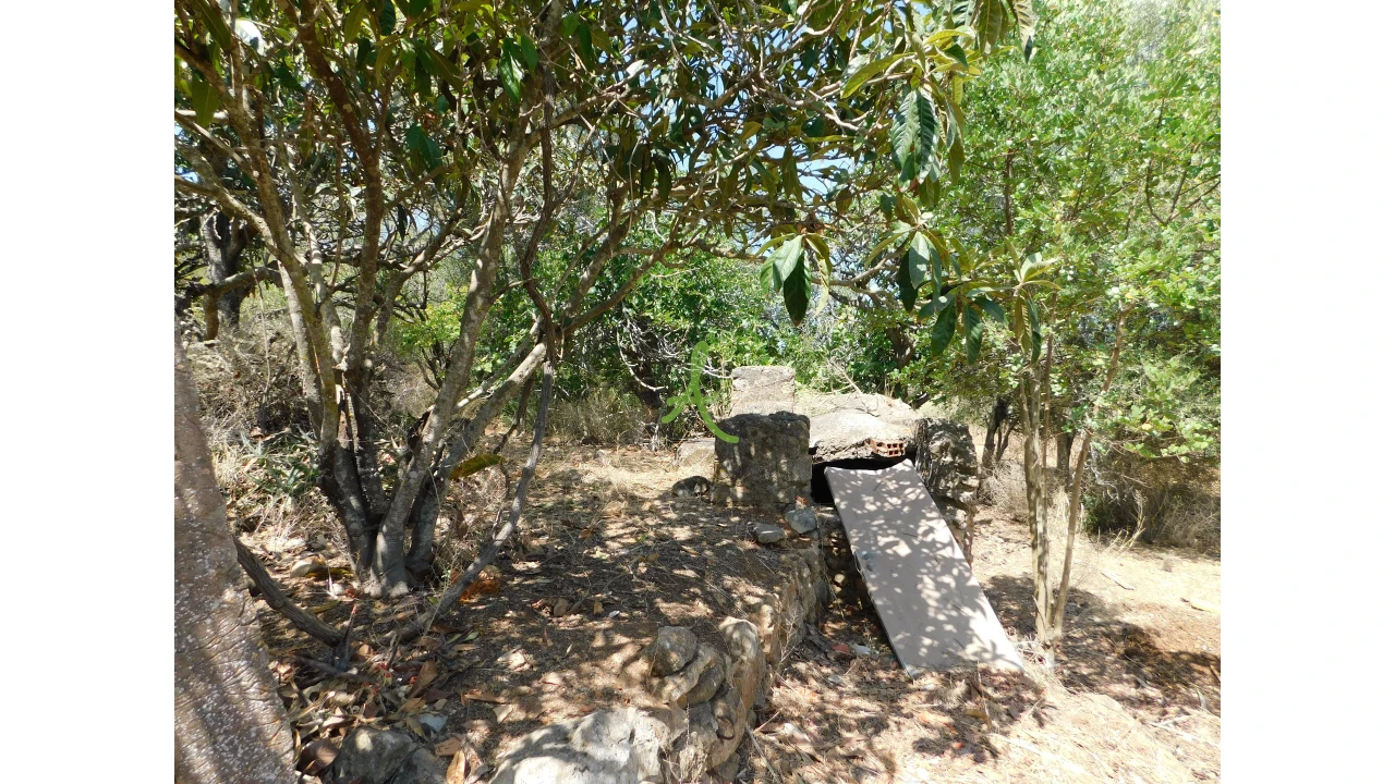 Terreno para Venda em Mexilhoeira Grande Foto 16