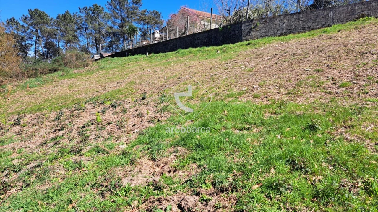 Terreno para Venda em Prozelo Foto 4