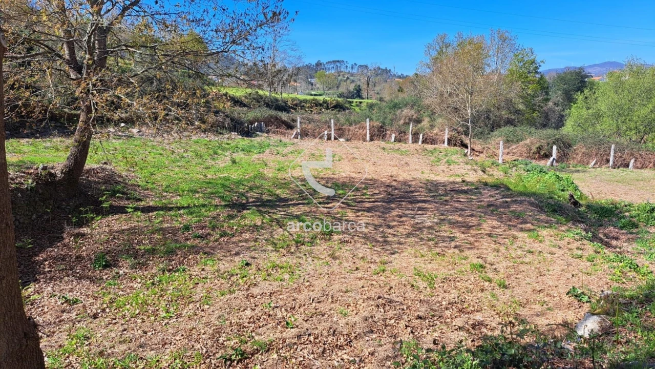 Terreno para Venda em Prozelo Foto 3