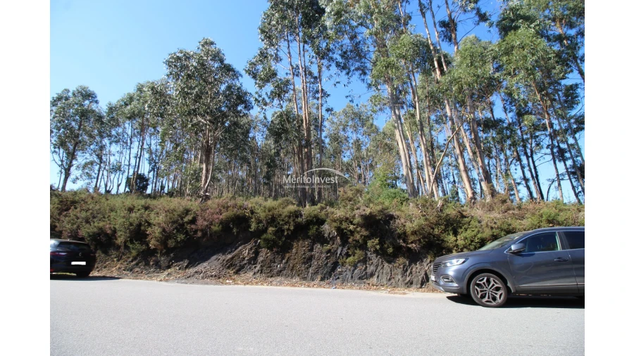 Terreno para Venda em Vilarinho das Cambas Foto 1