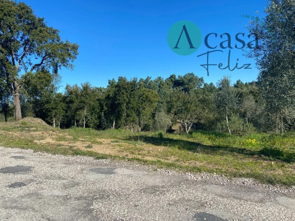 Terreno para Venda em São Pedro de Tomar Foto 3