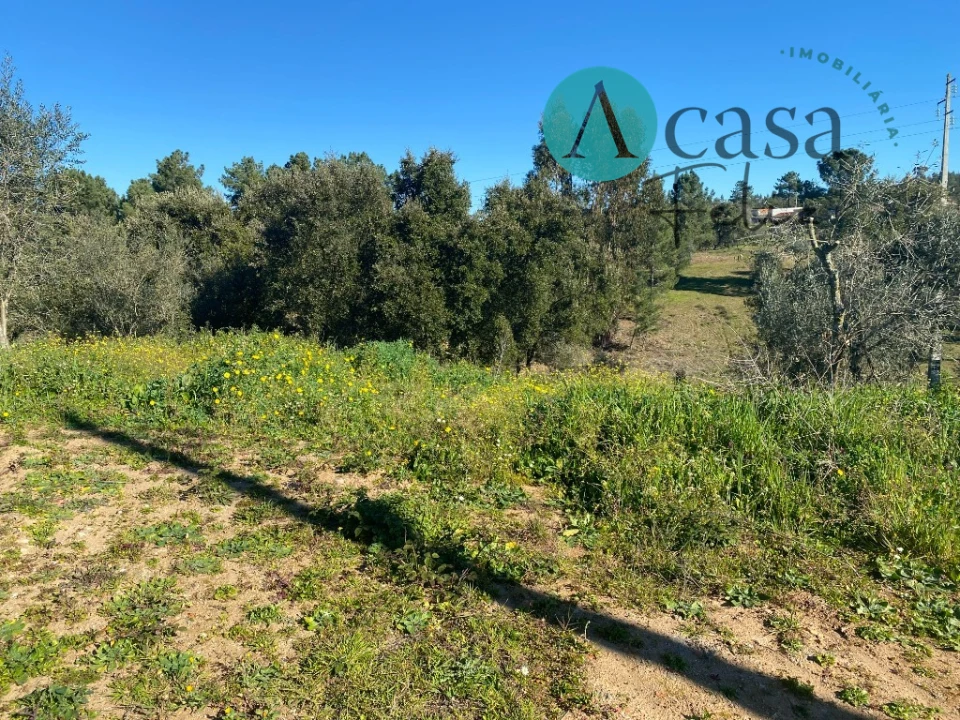 Terreno para Venda em São Pedro de Tomar Foto 2