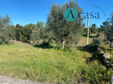Terreno para Venda em São Pedro de Tomar