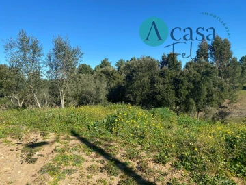 Terreno para Venda em São Pedro de Tomar