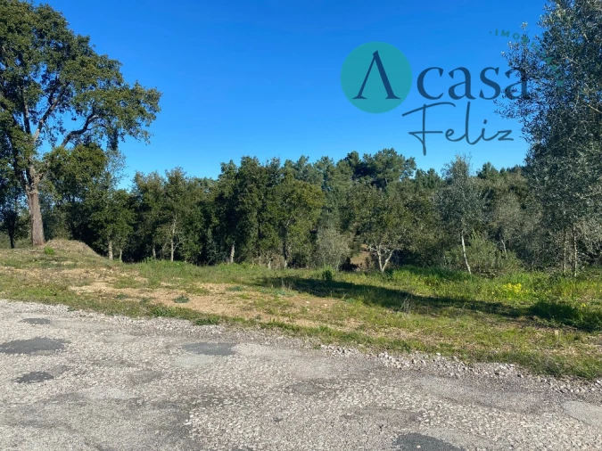 Terreno para Venda em São Pedro de Tomar Foto 3