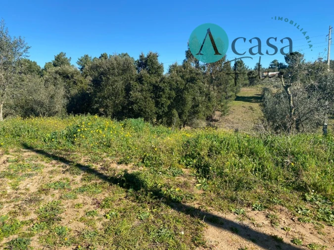 Terreno para Venda em São Pedro de Tomar Foto 2