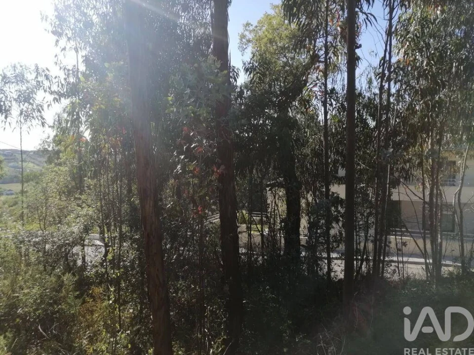 Terreno para Venda em Leiria, Pousos, Barreira e Cortes Foto 11
