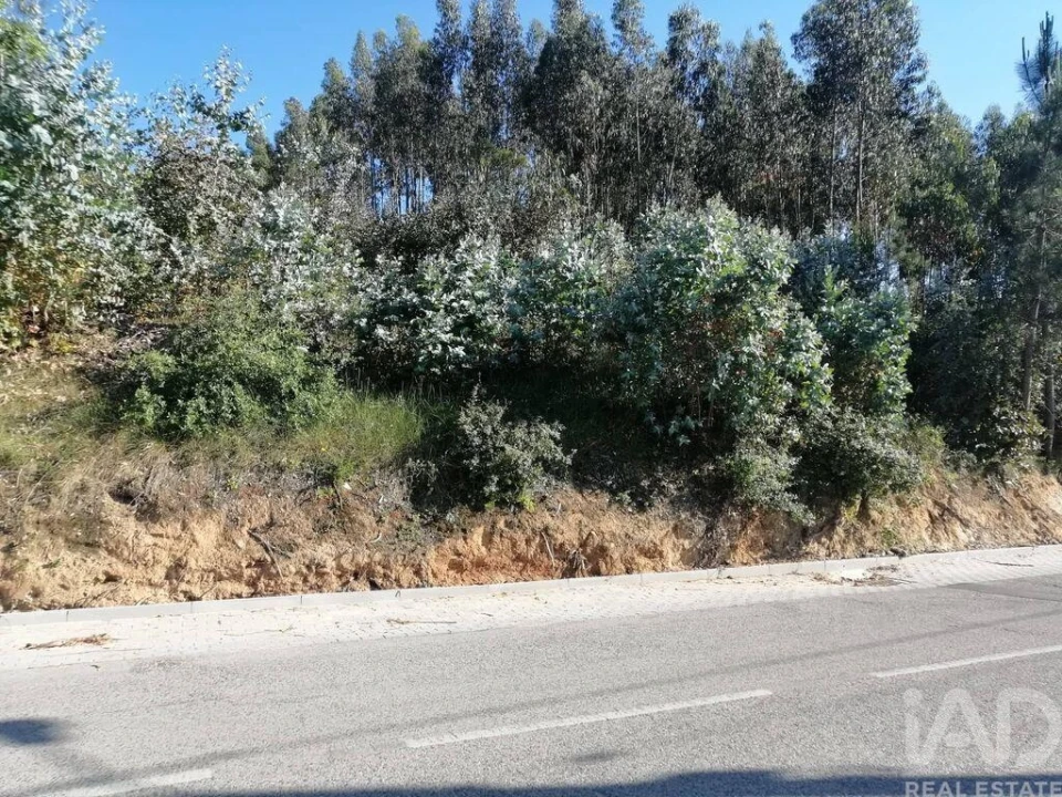 Terreno para Venda em Leiria, Pousos, Barreira e Cortes Foto 3