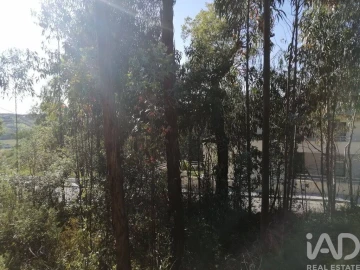 Terreno para Venda em Leiria, Pousos, Barreira e Cortes