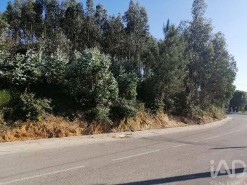 Terreno para Venda em Leiria, Pousos, Barreira e Cortes
