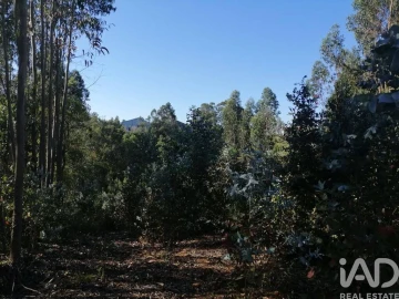 Terreno para Venda em Leiria, Pousos, Barreira e Cortes