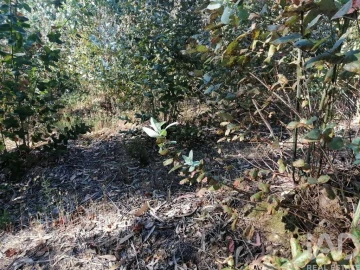 Terreno para Venda em Leiria, Pousos, Barreira e Cortes