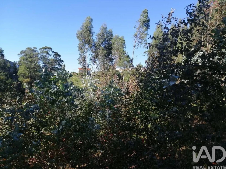 Terreno para Venda em Leiria, Pousos, Barreira e Cortes Foto 13
