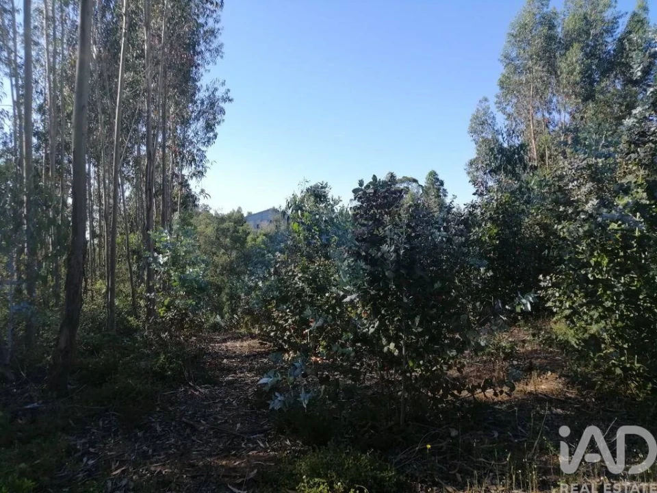 Terreno para Venda em Leiria, Pousos, Barreira e Cortes Foto 16