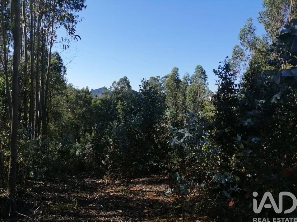 Terreno para Venda em Leiria, Pousos, Barreira e Cortes Foto 15