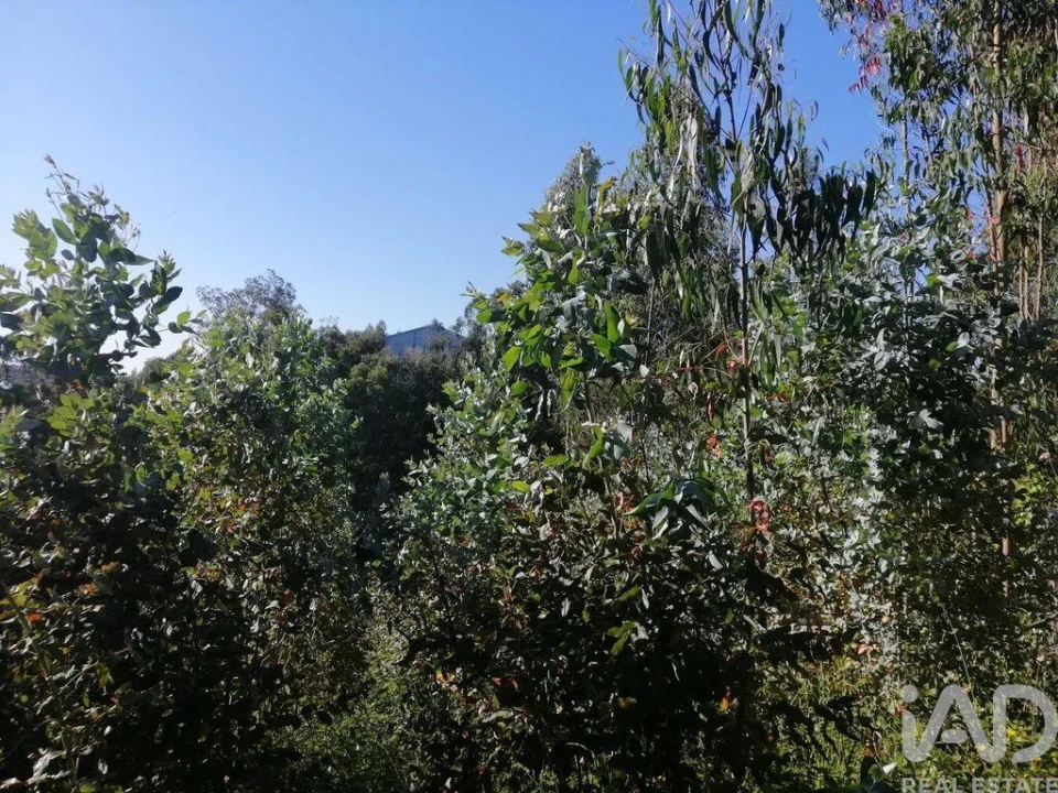 Terreno para Venda em Leiria, Pousos, Barreira e Cortes Foto 14