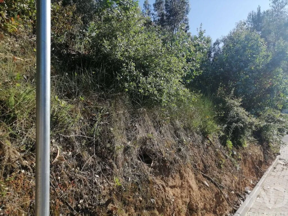 Terreno para Venda em Leiria, Pousos, Barreira e Cortes Foto 6
