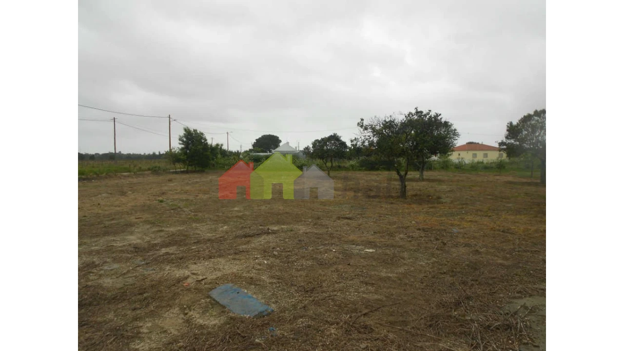 Terreno para Venda em Pegões Foto 6