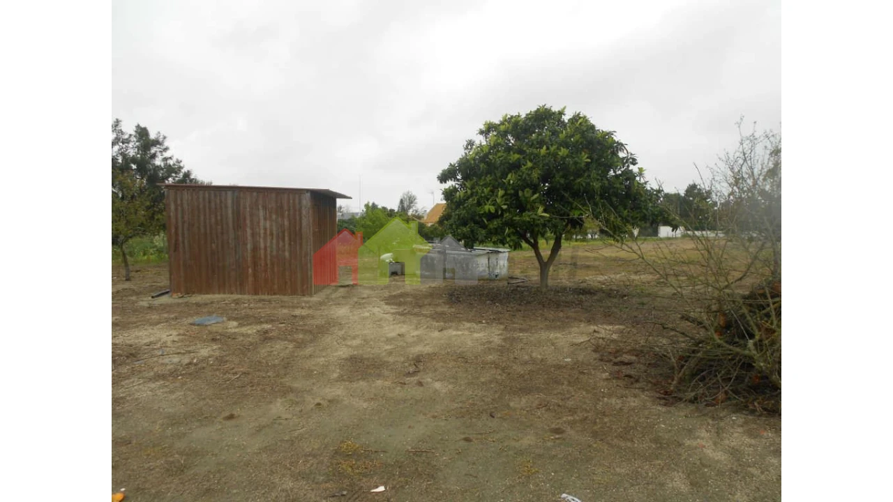 Terreno para Venda em Pegões Foto 4