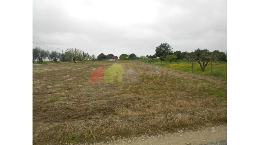 Terreno para Venda em Pegões Foto 7
