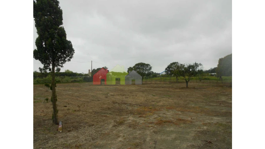 Terreno para Venda em Pegões Foto 3