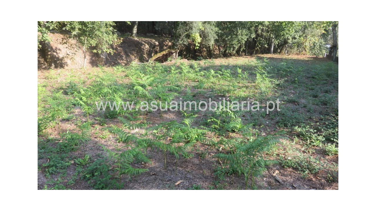 Terreno para Venda em Goães Foto 5