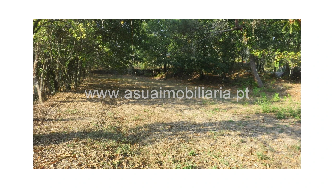 Terreno para Venda em Goães Foto 1