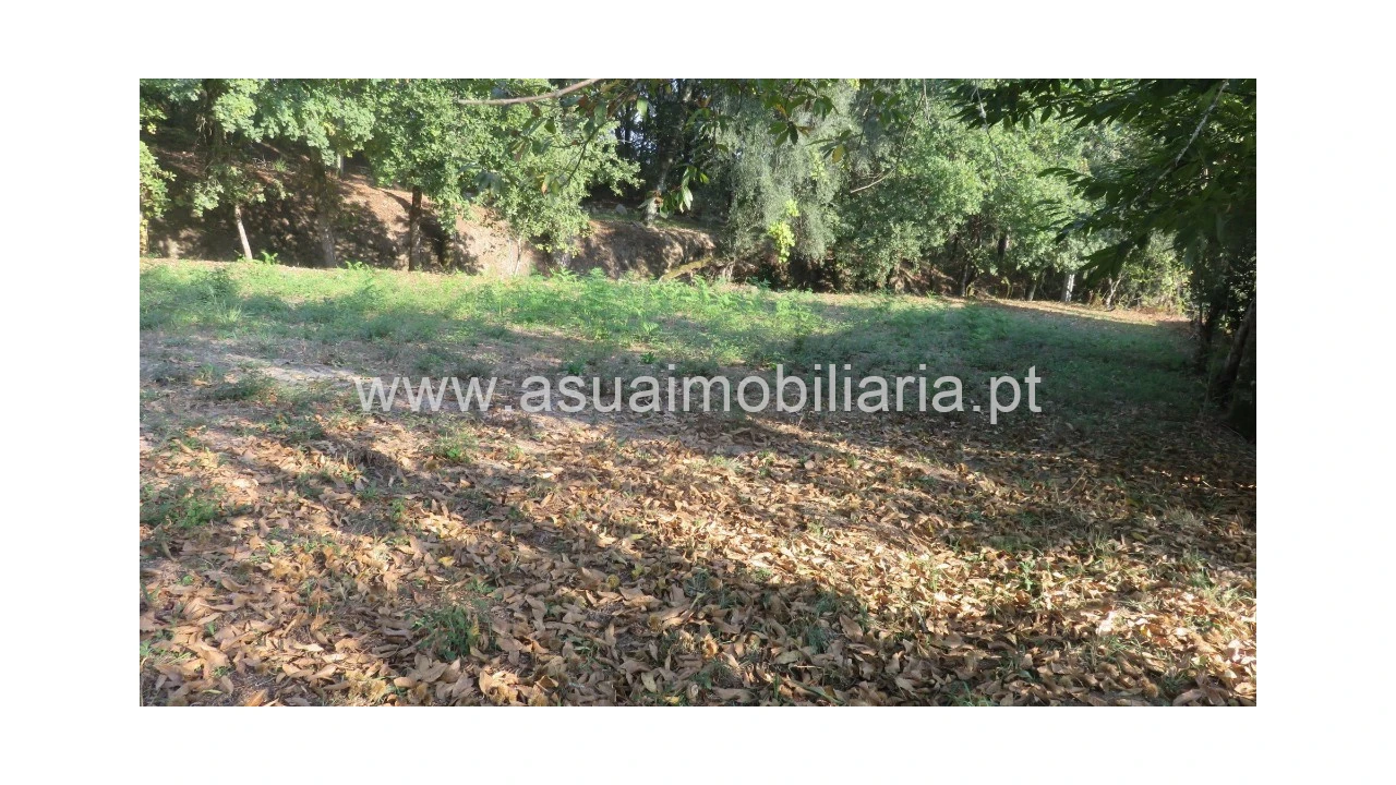 Terreno para Venda em Goães Foto 4