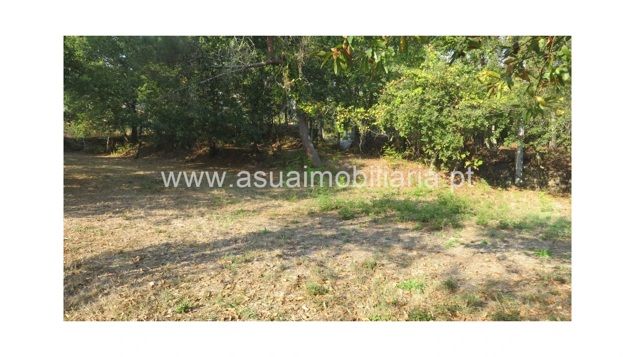 Terreno para Venda em Goães Foto 3