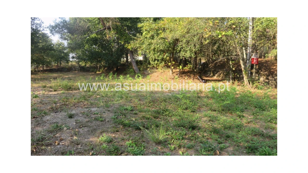 Terreno para Venda em Goães Foto 6