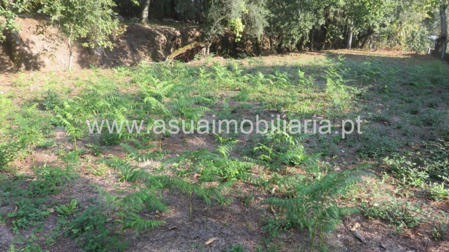 Terreno para Venda em Goães Foto 5