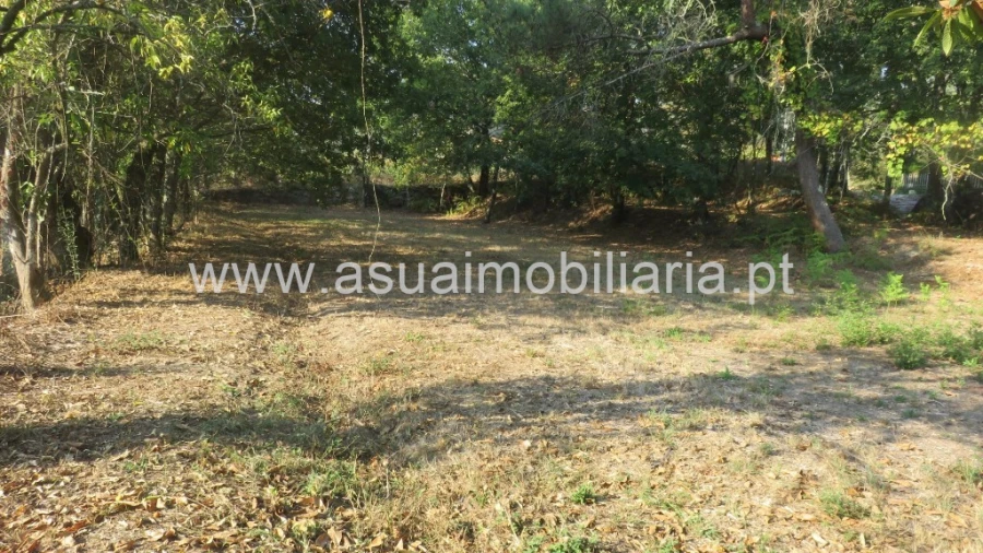 Terreno para Venda em Goães