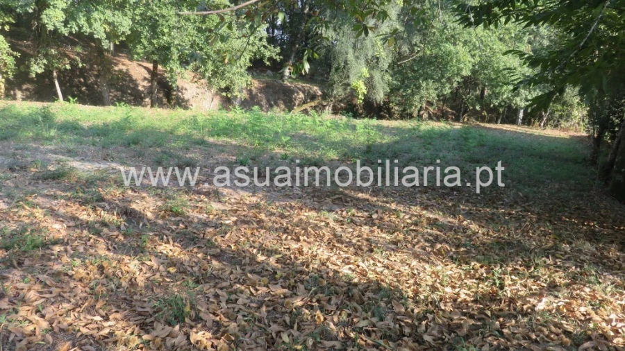 Terreno para Venda em Goães Foto 4