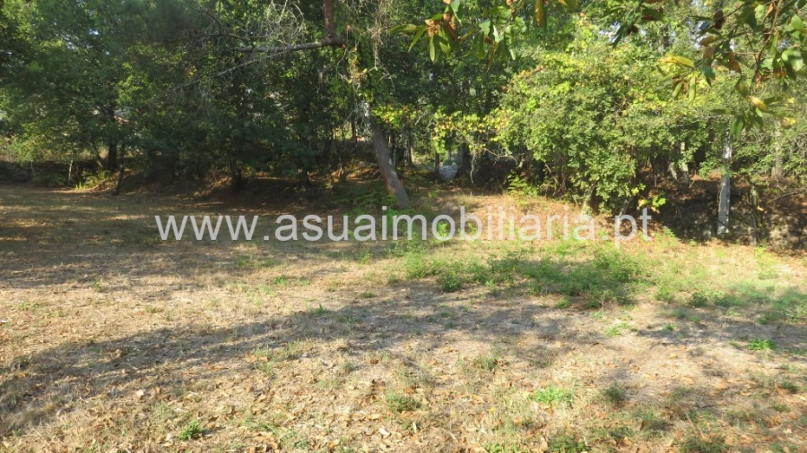 Terreno para Venda em Goães Foto 3