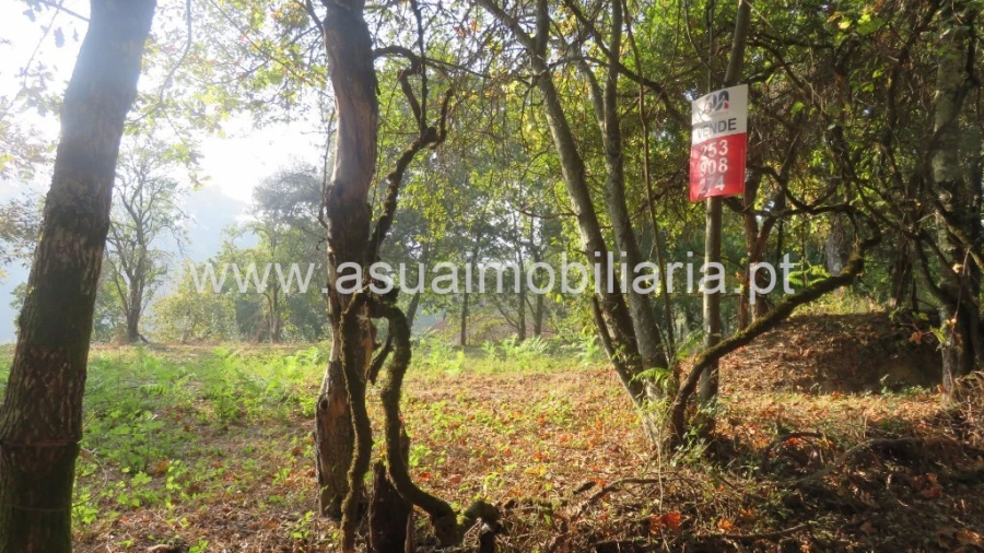Terreno para Venda em Goães Foto 8