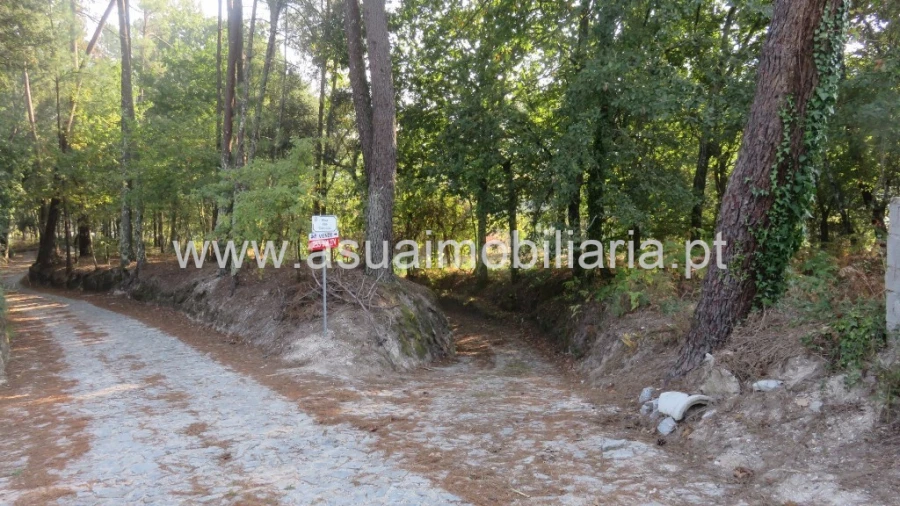 Terreno para Venda em Goães Foto 9