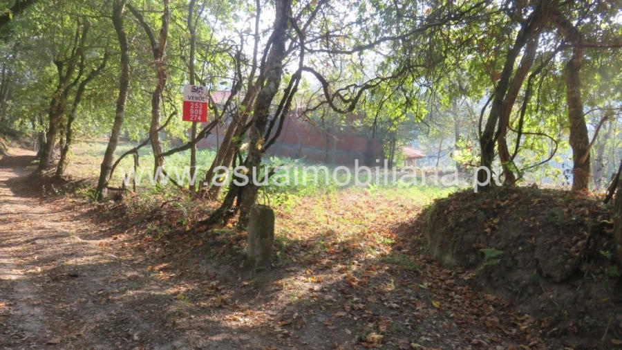 Terreno para Venda em Goães Foto 7