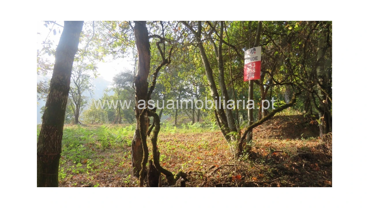 Terreno para Venda em Goães Foto 8