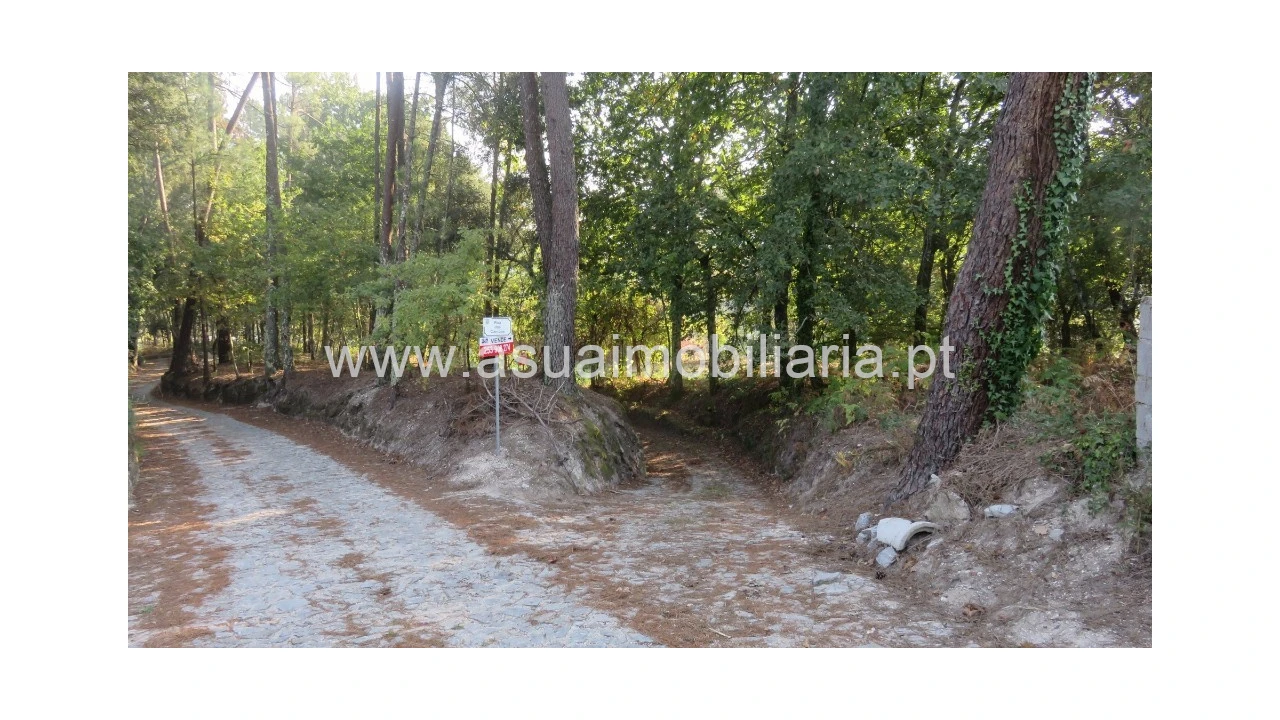 Terreno para Venda em Goães Foto 9