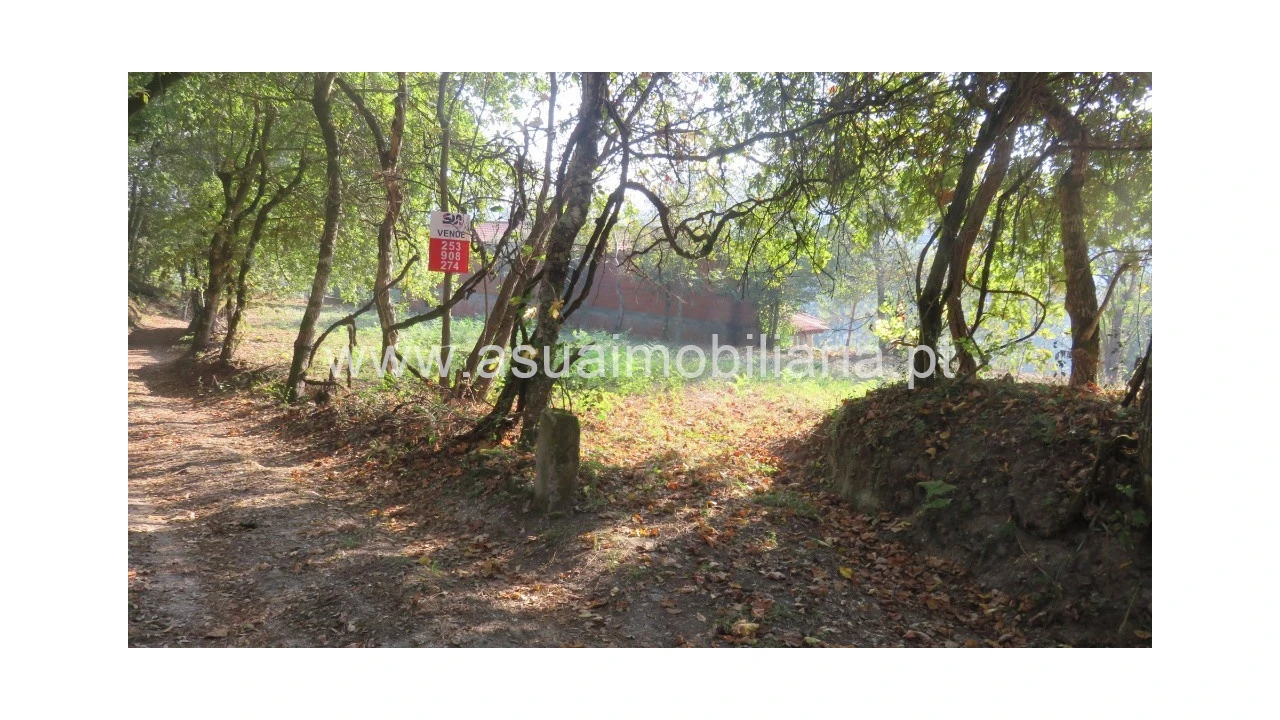 Terreno para Venda em Goães Foto 7