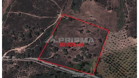 Terreno para Venda em Castelo Branco