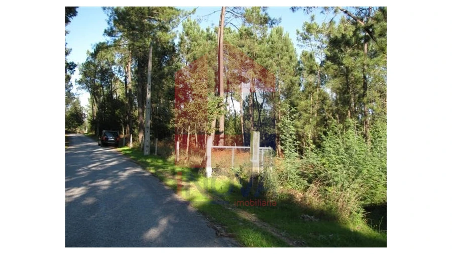 Terreno para Venda em Ponte