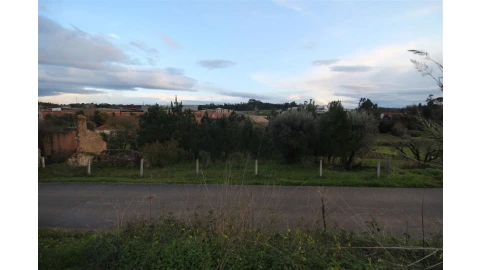 Terreno para Venda em Cernache
