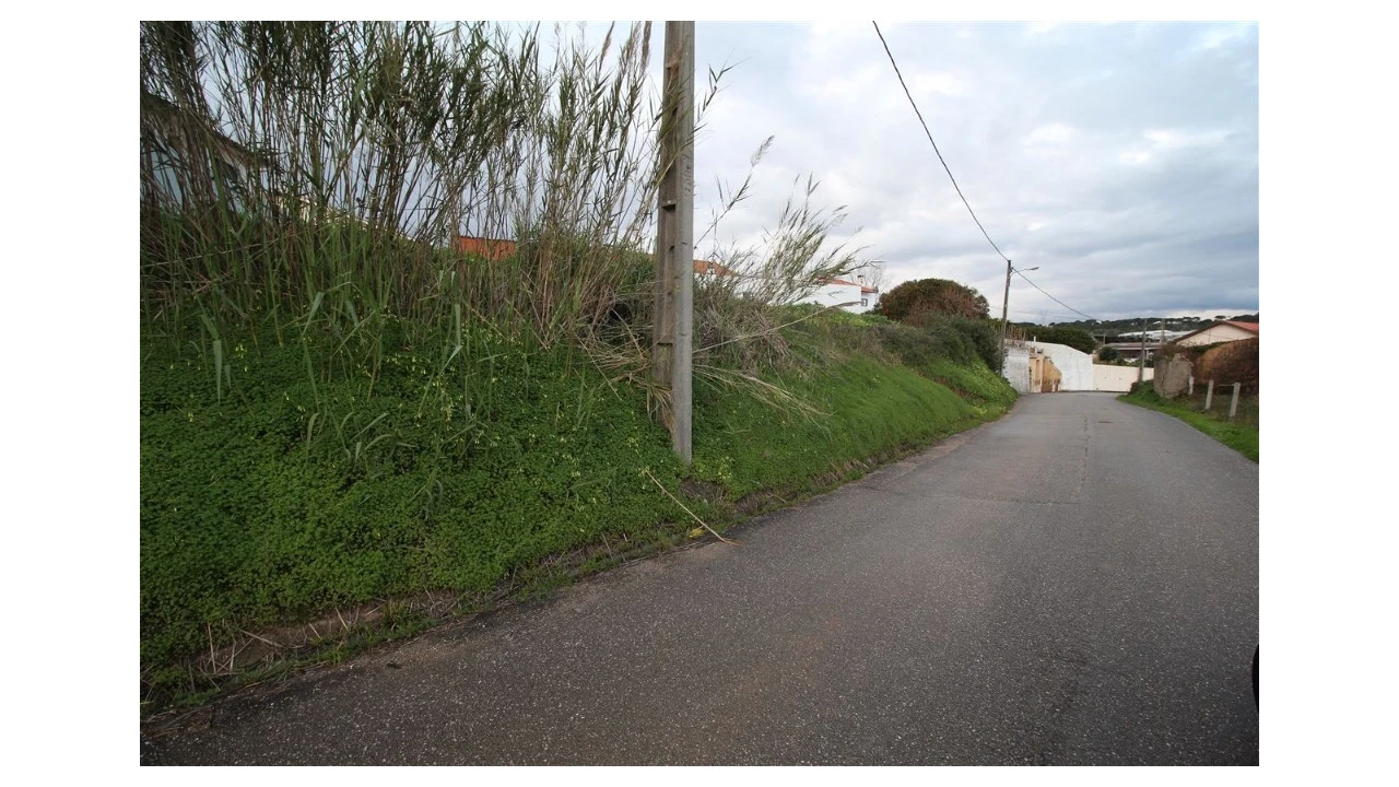 Terreno para Venda em Cernache Foto 2
